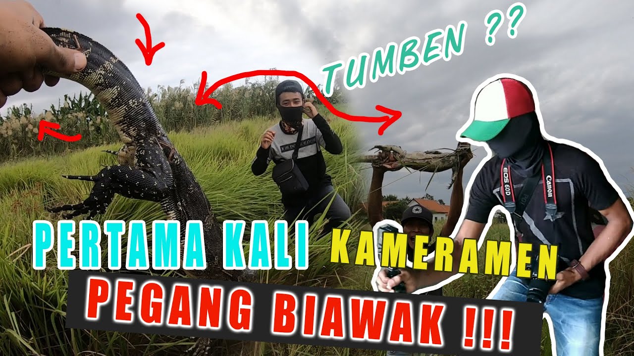 PANIK SEKALI !!! MEGANG BIAWAK DI TENGAH ANJING PEMBURU YANG EMOSI !!!