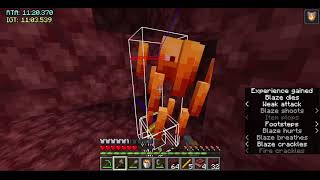 Minecraft 1.16.1 RSG Speedrun in 18:05 (PB, Top 30 AU)