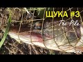 Ловля Щуки - Real Pike fishing #3