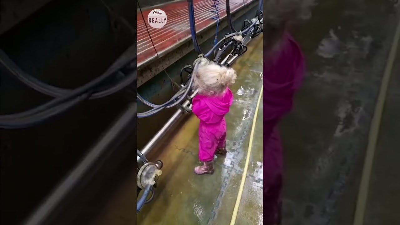 Youngest dairy farmer in the UK 