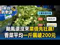 颱風還沒來菜價先狂飆！香菜平均一斤飆破200元 麵線老闆無奈哀嘆：心在滴血【薪酸內幕】