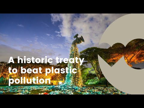 A historic treaty to beat plastic pollution