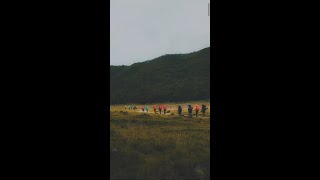 Kata Bung Fiersa Besari : Gunung dan Masalah #shorts #fiersabesari