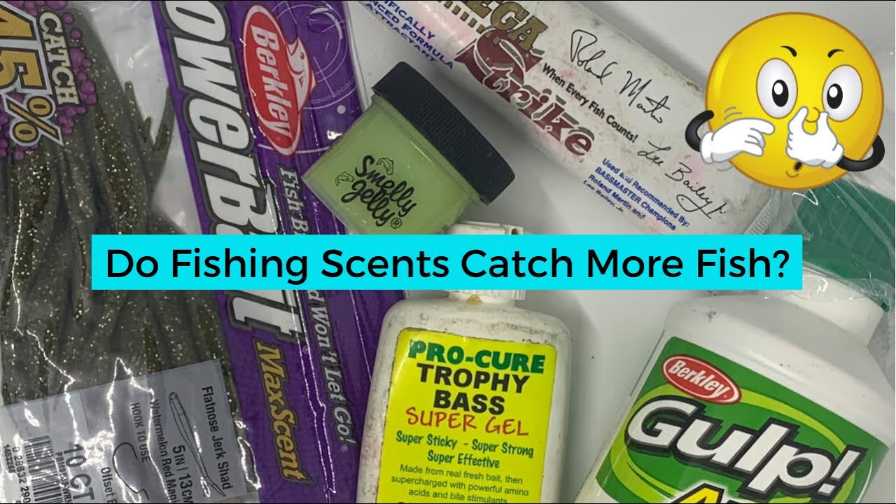 Do fishing scents catch more fish? YouTube