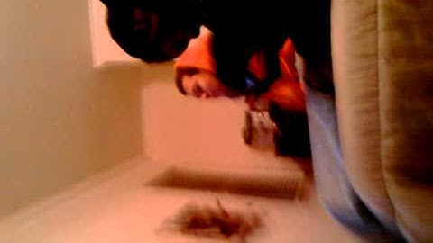 Jonathan pillow slap