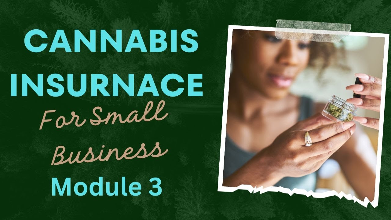 CANNABIS INSURANCE FOR SMALL BUSINESS MODULE 3 #INSURNACE #CANNABIS #smallbusiness