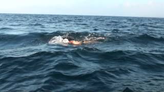 Swimming Across The Strait Of Gibraltar 2014 Jozef Bartaloš Lucie Leišová