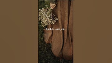 إلا بذكر الله تطمئن القلوب #قرآن #تلاوة_خاشعة #اكسبلور #حالات_واتس #القرآن_الكريم