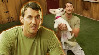 How to Calm an Overly Excited Dog | Lucky Dog