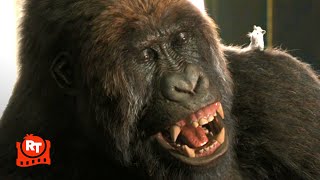 Dolittle 2020 - Gorilla Chess