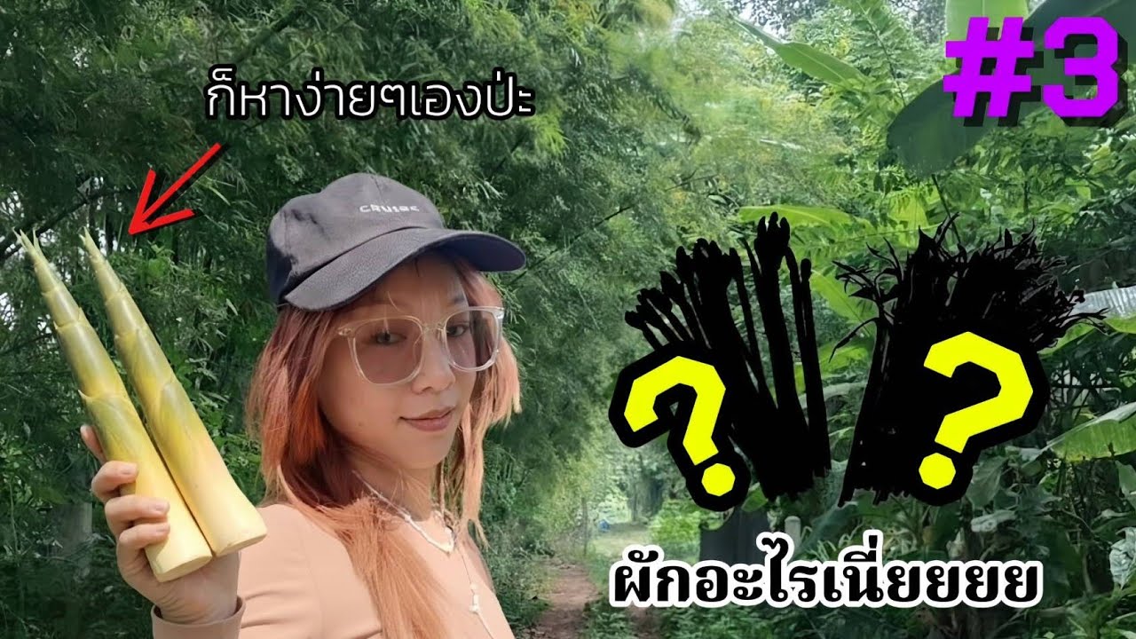 #3 หน่อไร่อยู่ในป่า?! แล้วในนามีผักอะไรนะ