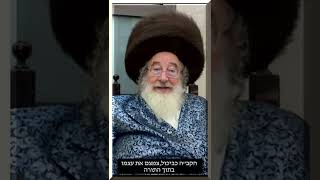 התורה - אמצעי להתחברות לבורא • נקודה משיעורו של האדמו"ר מספינקא שליט"א