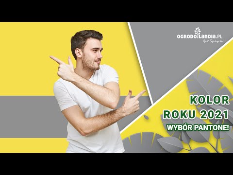 Wideo: Kolor Roku Pantone