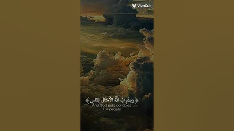 نو على نور يهدي الله لنوره من يشاء سورة النور القارئ شريف مصطفى🌟