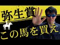 【弥生賞2023】この馬を買え【競馬予想】