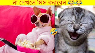 Some funny videos of animals falling || animal falling funny video 🤣😂||#animalfunny #funnyvideo
