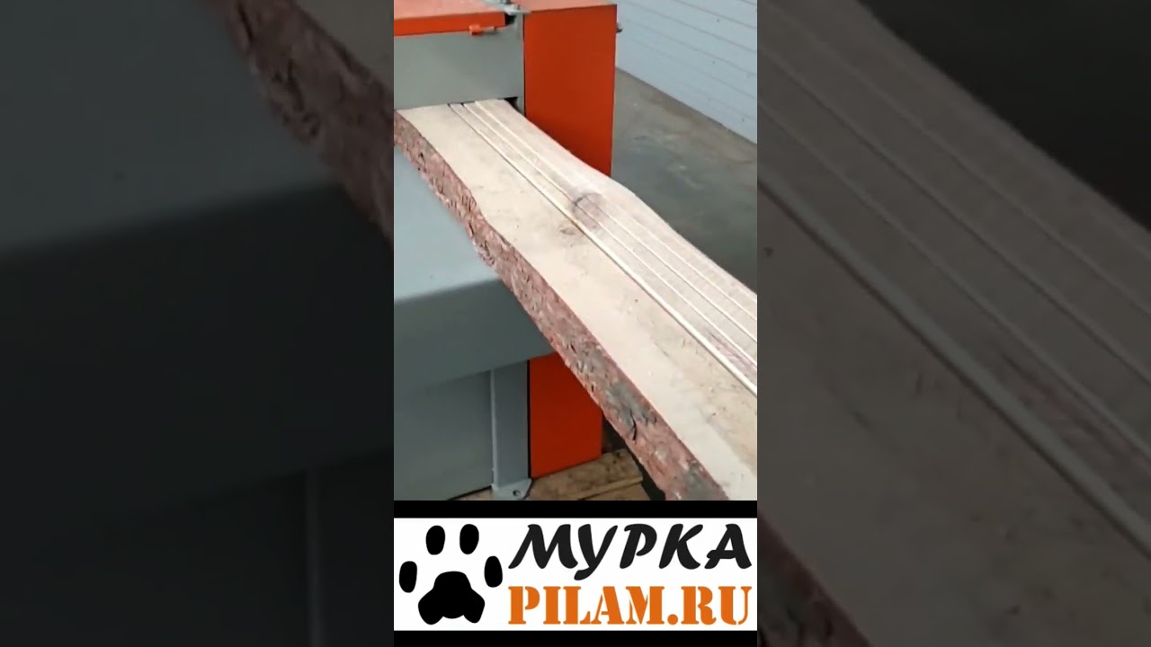 Мурка станок дисковый многопильный одновальный пиление тарной доски mini gang saw купить pilam.ru