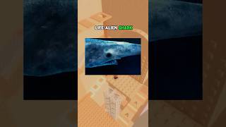 The Craziest Discoveries Ever Found At The Bottom Of The Ocean