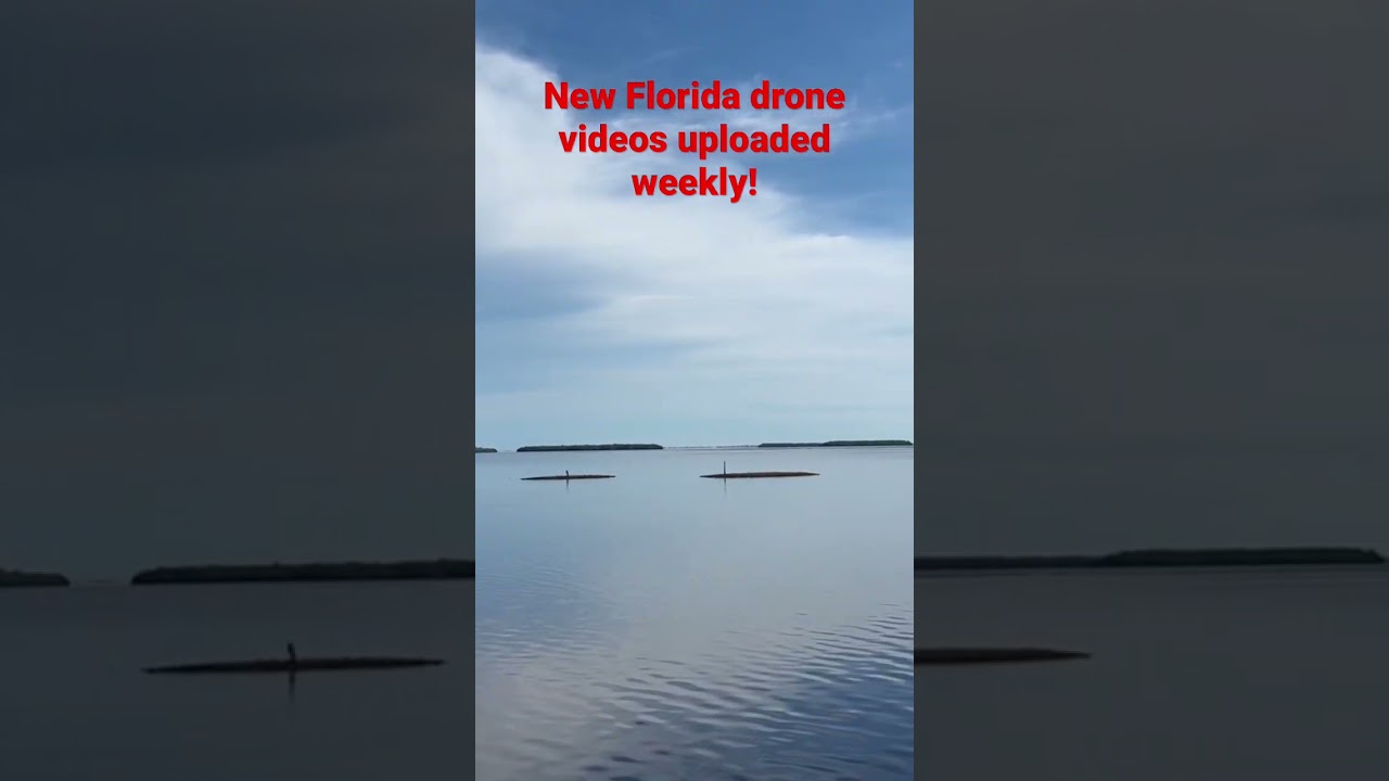 Bookelia, Pine Island Florida 