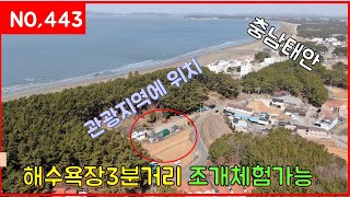 청포대해수욕장 도보3분거리 조개체험가능 관광지역에 위치 매물번호443번일등부동산티비