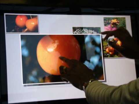 Microsoft Silverlight Multi Touch Demo