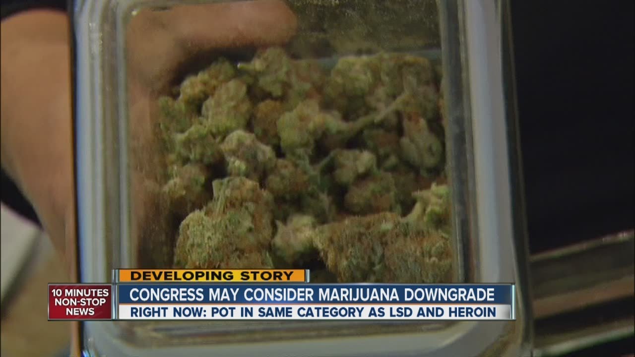 Congress may consider marijuana downgrade