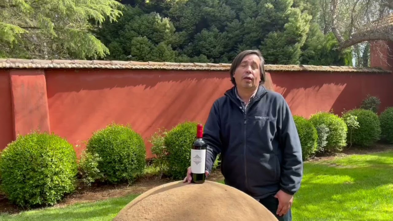 Terranoble Lahuen Ensamblaje Tinto 2018 - CAV - Club de Amantes