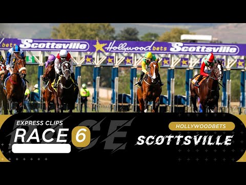20240818 Hollywoodbets Scottsville