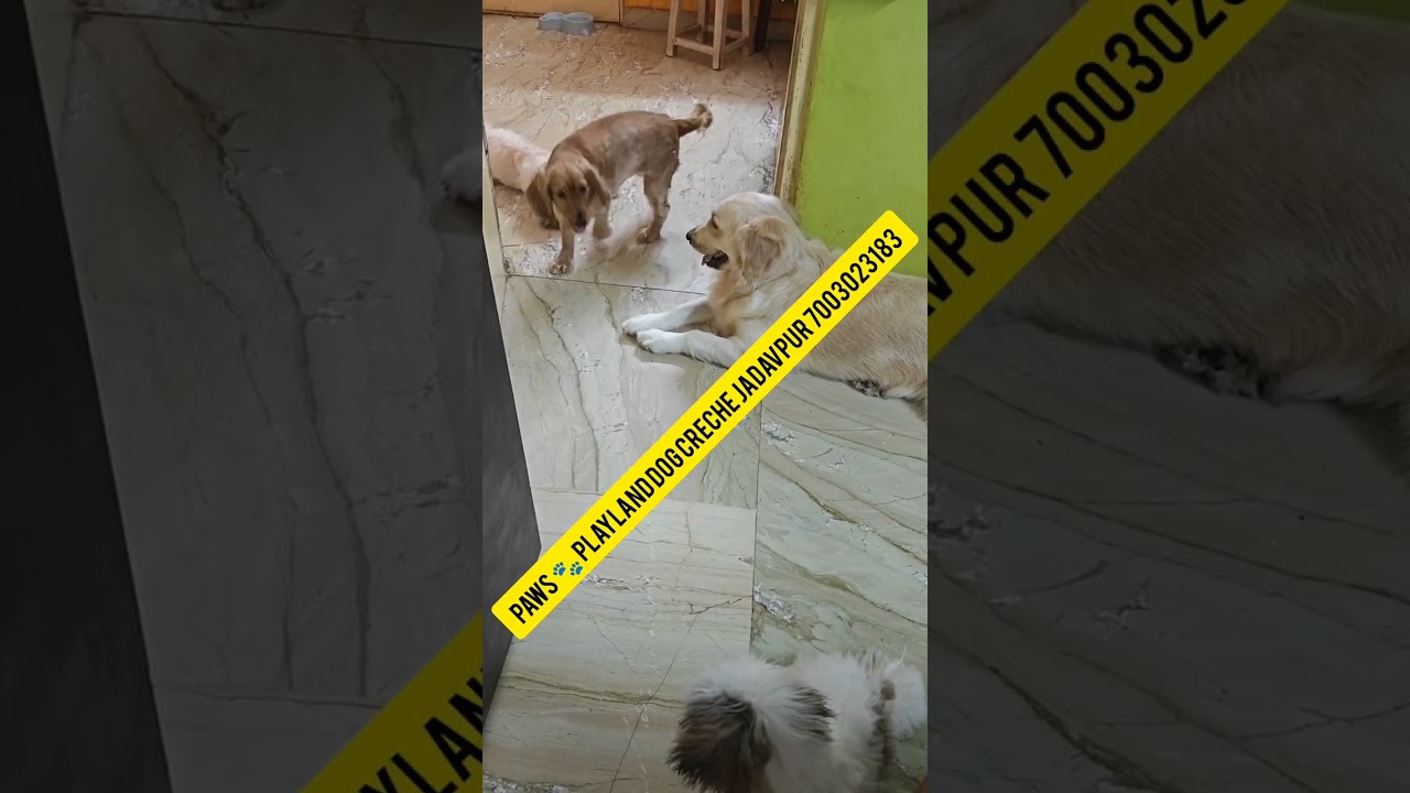 its playtime @ our creche