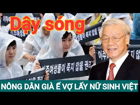 Video ????Cái t,át vào mặt Ông Trọng - Hàn Quốc 'khuyến khích... - YouTube