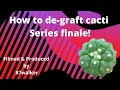 How To De-Graft Cacti - Series Finale!