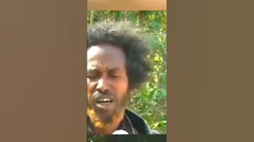 Geerarsa Dhiiraa Waa Ee Tokkummaa 