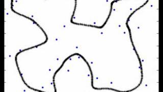 Kohonen Traveling Salesman