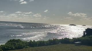 Nature’s Coastal Symphony | Wind, Waves & Warm Sunshine 🌞🌊