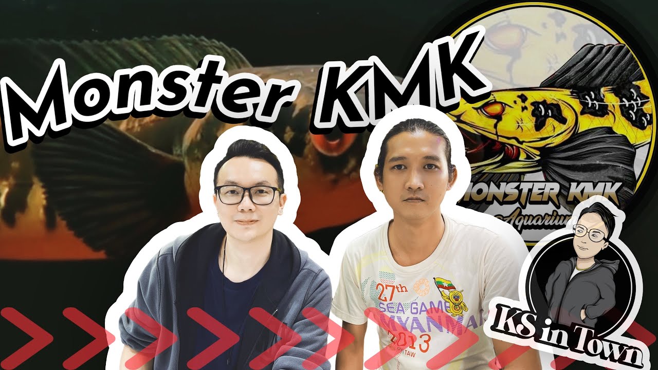 EP5: Monster KMK [Choosing Between Channa Red Barito & Batik Yellow Sentarum]