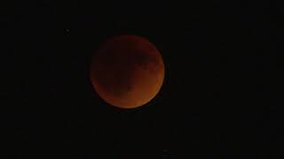 Super Flower Blood Moon Full Lunar Eclipse - Various Shots