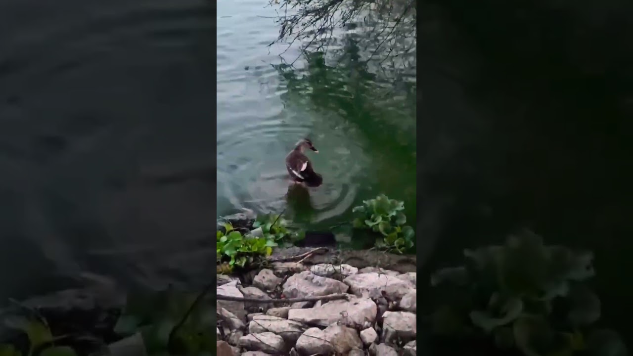 shower 🚿 time🤭 