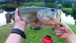 Live Blugill Fishing In Crazy Weather