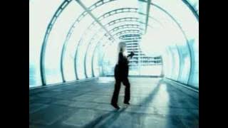 Plummet Damaged (2005)