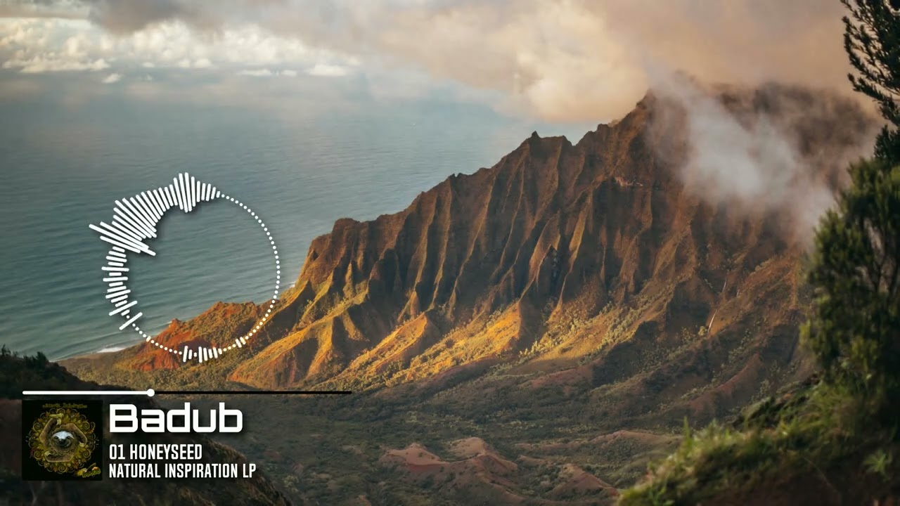 Badub - 01 Honeyseed - Natural Inspiration LP