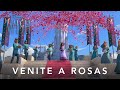 Wish | Venite a Rosas | Dal 21 Dicembre al Cinema