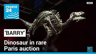 Dinosaur known as 'Barry' goes on sale in rare Paris auction • FRANCE 24 English