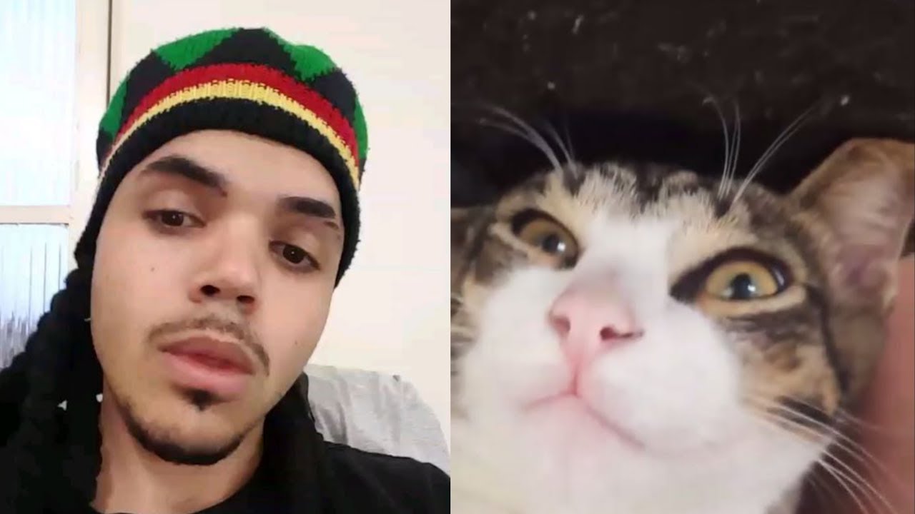 CÉZAUM FALA QUE FICOU TÍMIDO NO VIDEO DO TSM , E CÉZAUM ACORDA FERNANDO !!