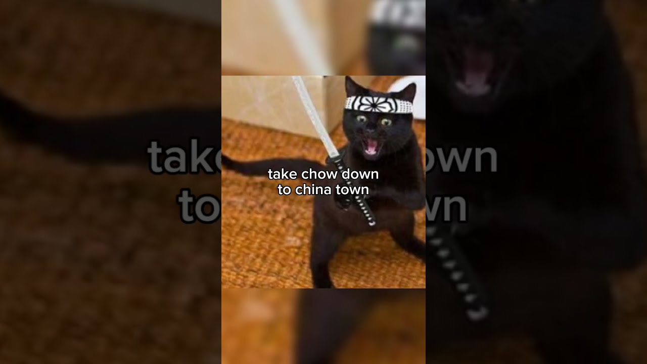 IM FINALLY NINJA Funny Edit Trend Cats Ninja Fy Idk