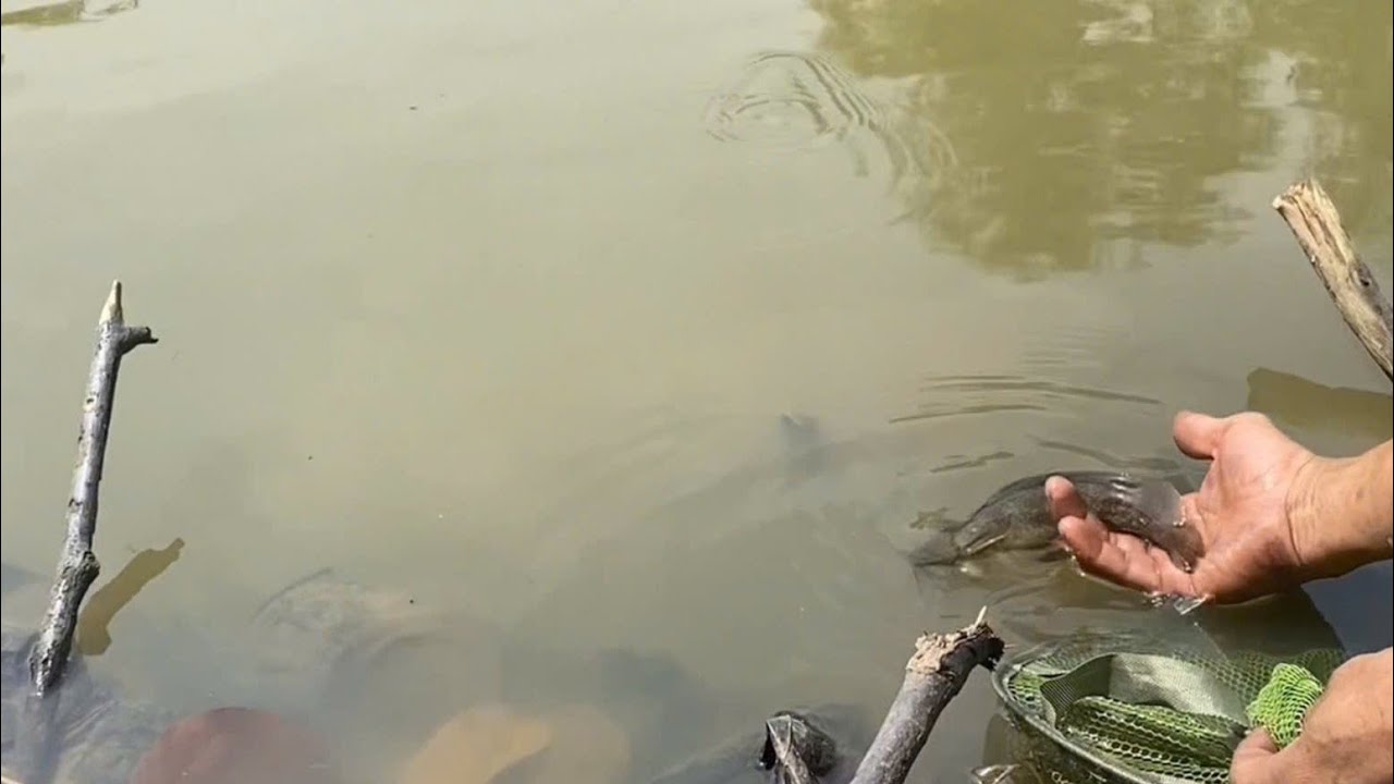 Lần đầu đi câu cá quay vlog/First Time Fishing Vlog