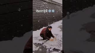 #snowfall #chiba #japan_tokyo #keeploving #subscribemychannel