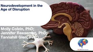 Neurodevelopment in the Age of Disruption