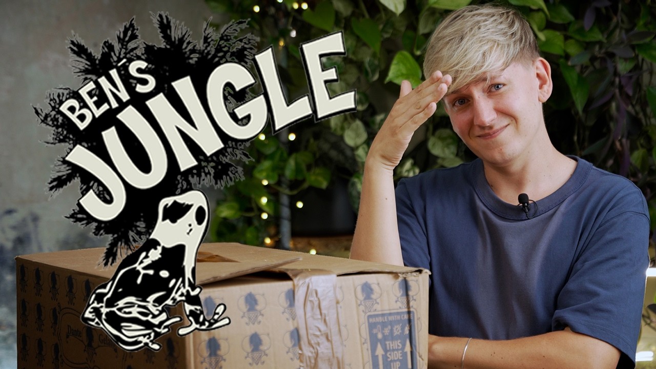 Mein LETZTES Ben's Jungle Unboxing? 😱 Das hätte ich bei diesem Plant Haul NIE erwartet 🥲
