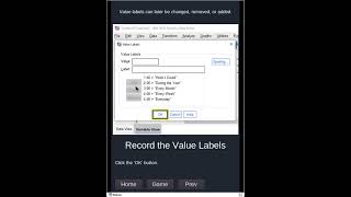 SPSS - Variable Definition and Data Entry (B)