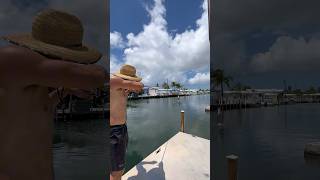 Fish Identifies As Bird